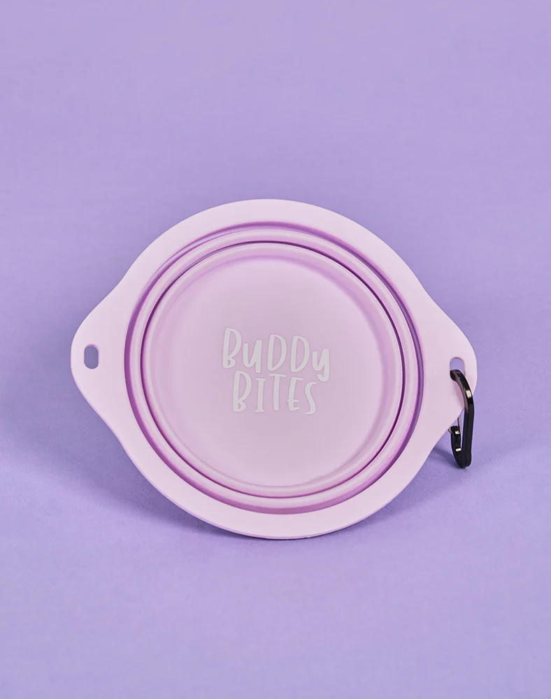 Nourriture pour chien Soldes -Nourriture pour chien Soldes 34ER23E