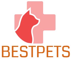 Nourriture pour chien Soldes