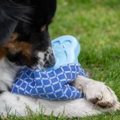 CoolPets Ice PINGWIN Pour Chiens -Nourriture pour chien Soldes fre pl CoolPets Ice PINGWIN pour chiens 30501 3