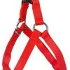 Dingo Harnais De Type Step-In Avec Sangle Pour Chiens Rouge Taille 70 -Nourriture pour chien Soldes fre pl Dingo Harnais de type Step In avec sangle pour chiens rouge taille 70 16462 1