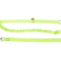 Dingo Laisse Avec Absorbeur De Chocs Et Poignée Vert 170cm
