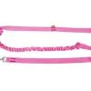 Dingo Laisse Avec Amortisseur Et Poignée Rose 170cm 1 Dingo Laisse Avec Amortisseur Et Poignée Rose 170cm -Nourriture pour chien Soldes fre pl Dingo Laisse avec amortisseur et poignee Rose 170cm 8866 1