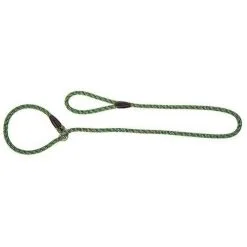 Dingo Laisse Pour Chien En Anneau Magic Vert/Bleu 170cm