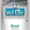 Farmina Vet Life Canine Renal 12kg -Nourriture pour chien Soldes fre pl Farmina Vet Life Canine Renal 12kg 16956 1