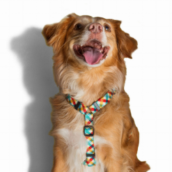 Zeedog Harnais ZEE DOG H Phantom XS -Nourriture pour chien Soldes fre pl Harnais ZEE DOG H Phantom XS 13345 2