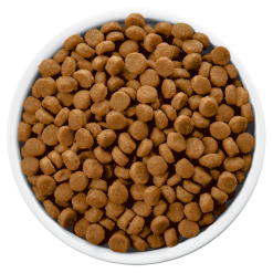 Hills Hill's PD Prescription Diet Canine C/d Urinary Care 12kg+ Surprise Pour Votre Chien GRATUITE ! -Nourriture pour chien Soldes fre pl Hills PD Prescription Diet Canine c d Urinary Care 12kg surprise pour votre chien GRATUITE 25758 3