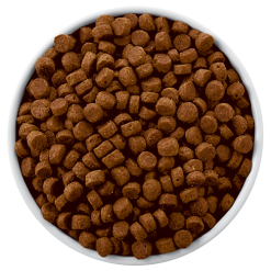 Hills Hill's Prescription Diet Derm Defense Canine Poulet 12kg -Nourriture pour chien Soldes fre pl Hills Prescription Diet Derm Defense Canine Poulet 12kg 8722 4