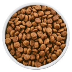 Hills Hill's Prescription Diet I/d Sensitive Canine Avec Oeuf Et Riz 1,5kg -Nourriture pour chien Soldes fre pl Hills Prescription Diet i d Sensitive Canine Avec Oeuf et Riz 1 5kg 8592 5