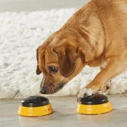 Hunger For Words TALKING PET NEXT WORDS NAMES -Nourriture pour chien Soldes fre pl Hunger for Words TALKING PET NEXT WORDS NAMES 29733 4