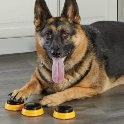 Hunger For Words TALKING PET NEXT WORDS NAMES -Nourriture pour chien Soldes fre pl Hunger for Words TALKING PET NEXT WORDS NAMES 29733 5