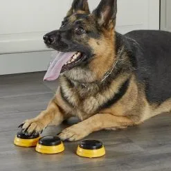 Hunger For Words TALKING PET NEXT WORDS NAMES -Nourriture pour chien Soldes fre pl Hunger for Words TALKING PET NEXT WORDS NAMES 29733 6