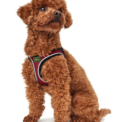Hunter Hilo Comfort Harnais Pour Chien Rouge Taille S -Nourriture pour chien Soldes fre pl Hunter Hilo Comfort Harnais pour chien rouge Taille S 13103 3