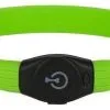 KERBL Collier Lumineux Pour Chien à Poils Longs Vert 65cm