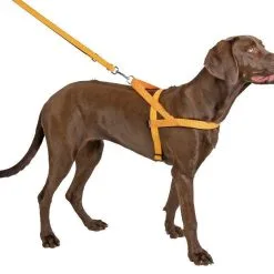 KERBL Harnais Réfléchissant Norvégien 40cm -Nourriture pour chien Soldes fre pl KERBL Harnais reflechissant Norvegien 40cm 24666 2