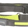 Dingo KERBL Laisse De Course Fluorescente Light & Reflex Jaune 250cm -Nourriture pour chien Soldes fre pl KERBL Laisse de course fluorescente Light Reflex Jaune 250cm 24658 1