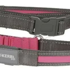 Dingo KERBL Laisse De Course Fluorescente Light & Reflex Rose 250cm