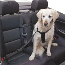 KERBL Sangle Et Harnais De Transport, 50-70 Cm