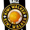 Kiwi Walker Let's Play BALL Maxi Balle Orange 2 Kiwi Walker Let's Play BALL Maxi Balle Orange -Nourriture pour chien Soldes fre pl Kiwi Walker Lets Play BALL Maxi balle orange 29860 1