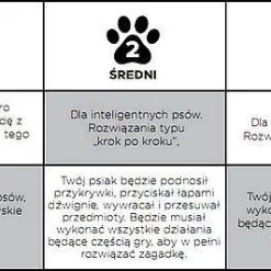 Nina Ottosson Dog Tornado - Jeu éducatif Pour Chiens - Niveau 2 -Nourriture pour chien Soldes fre pl Nina Ottosson Dog Tornado jeu educatif pour chiens niveau 2 25988 3