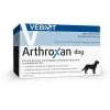Vetosan Nutrifarm Sp. Z O.o. Vebiot Arthroxan Dog 60 Tablettes -Nourriture pour chien Soldes fre pl Nutrifarm Sp Z O o Vebiot Arthroxan Dog 60 Tablettes 14066 1