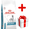 ROYAL CANIN Anallergenic 8kg + Surprise Pour Votre Chien GRATUITES !
