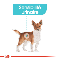 ROYAL CANIN CCN Mini Urinary Care 8kg 12 ROYAL CANIN CCN Mini Urinary Care 8kg -Nourriture pour chien Soldes fre pl ROYAL CANIN CCN Mini Urinary Care 8kg 10085 2