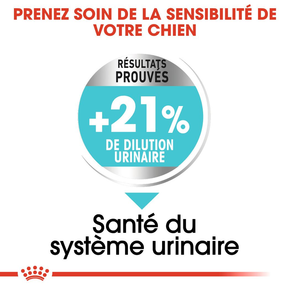 ROYAL CANIN CCN Mini Urinary Care 8kg 6 ROYAL CANIN CCN Mini Urinary Care 8kg – Image 4