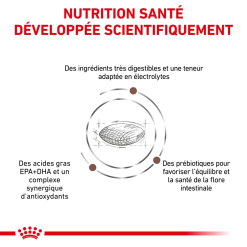 ROYAL CANIN Gastrointestinal Low Fat 6kg + Surprise Pour Votre Chien GRATUITES ! -Nourriture pour chien Soldes fre pl ROYAL CANIN Gastrointestinal Low Fat 6kg surprise pour votre chien GRATUITES 25241 3