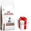 ROYAL CANIN Gastrointestinal Puppy 10kg + Surprise Pour Votre Chien GRATUITES ! -Nourriture pour chien Soldes fre pl ROYAL CANIN Gastrointestinal Puppy 10kg surprise pour votre chien GRATUITES 25218 5