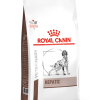 ROYAL CANIN Hepatic 12kg