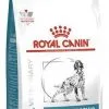 ROYAL CANIN Hypoallergenic 2kg -Nourriture pour chien Soldes fre pl ROYAL CANIN Hypoallergenic 2kg 9222 2