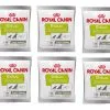 ROYAL CANIN Nutritional Supplement Educ 10x50g 1 ROYAL CANIN Nutritional Supplement Educ 10x50g -Nourriture pour chien Soldes fre pl ROYAL CANIN Nutritional Supplement Educ 10x50g 29779 4