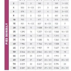 ROYAL CANIN Renal 12x100g 8 ROYAL CANIN Renal 12x100g -Nourriture pour chien Soldes fre pl ROYAL CANIN Renal 12x100g 12954 2