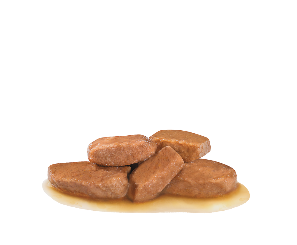 ROYAL CANIN Renal 12x100g 4 ROYAL CANIN Renal 12x100g – Image 2