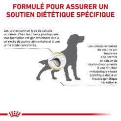 ROYAL CANIN Urinary U/C Low Purine 2kg X2 -Nourriture pour chien Soldes fre pl ROYAL CANIN Urinary U C Low Purine 2kg x2 30730 6