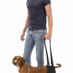 Trixie Harnais De Rééducation Pour Chiens Jusqu'à 50 Kg Noir L-XL -Nourriture pour chien Soldes fre pl Trixie Harnais de reeducation pour chiens jusqua 50 kg Noir L XL 16260 3