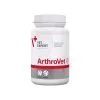 VETEXPERT Arthrovet HA 90 Capsules -Nourriture pour chien Soldes fre pl VETEXPERT Arthrovet HA 90 capsules 8531 1