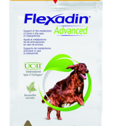VETOQUINOL Flexadin Advanced 30 Morsures X2 -Nourriture pour chien Soldes fre pl VETOQUINOL Flexadin Advanced 30 morsures 10978 1